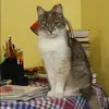 Отзыв от Серафима Королькова